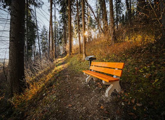 slovakia/orava/attraction/lavicka-andreja-plavku