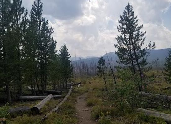 montana/yellowstone-national-park/attraction/glade-creek-trailhead
