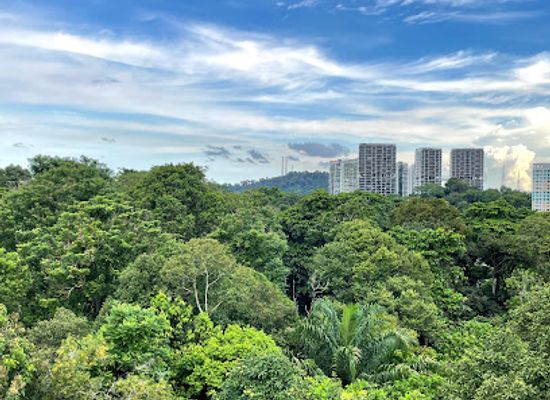 singapore/serangoon/attraction/chestnut-nature-park