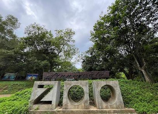 sri-lanka/kandy/attraction/pinnawala-zoo