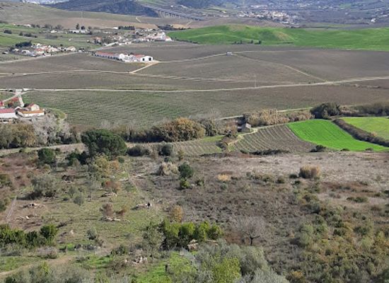 portugal/ribatejo/attraction/monte-dos-castelinhos-roman-ruins
