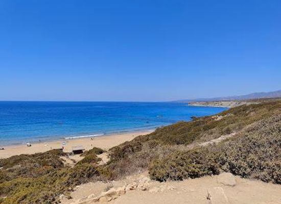 cyprus/polis-chrysochous/attraction/lara-beach-parking-and-information-center