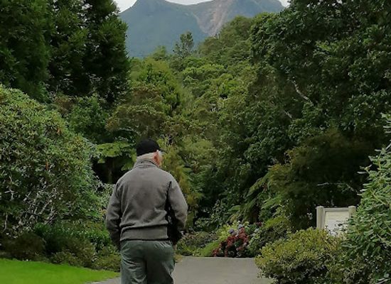 new-zealand/taranaki/attraction/pukeiti