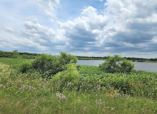 oklahoma/lake-texoma/attraction/hagerman-national-wildlife-refuge