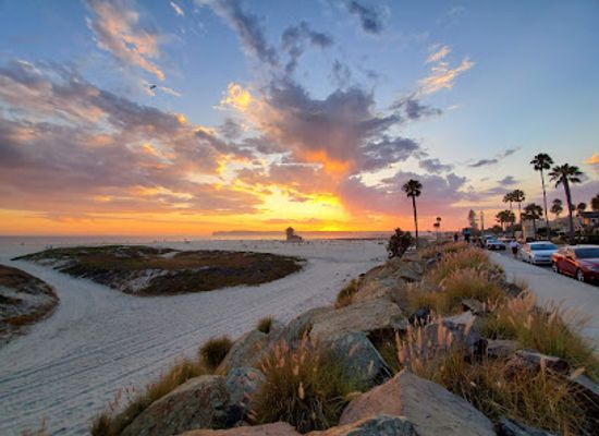 california/coronado/attraction/coronado-dog-beach