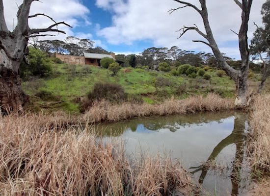 australia/riverland/attraction/lenger-reserve