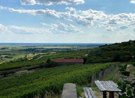 hungary/bodrogkoz/attraction/tokaj-hetszolo
