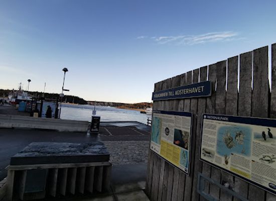 sweden/kosterhavet-national-park/attraction/kosterhavet-relief
