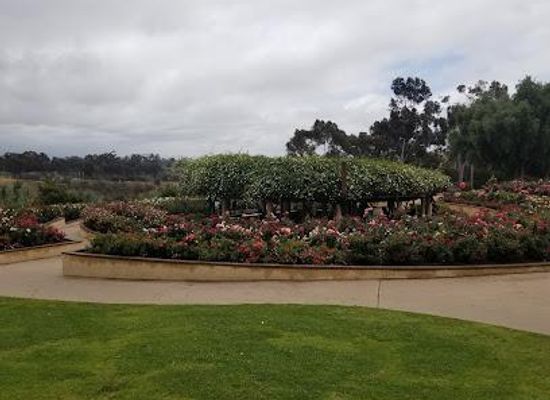 mexico/tijuana/attraction/inez-grant-parker-memorial-rose-garden