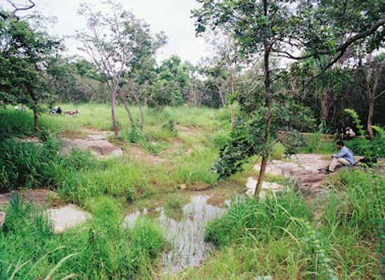 togo/bassar/attraction/foret-d-abdoulaye