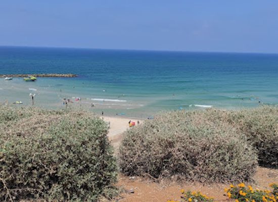 israel/sharon-plain/attraction/independence-square