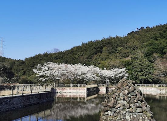 japan/kawachi/attraction/kawachi-sakura-park