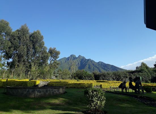 rwanda/karisimbi-volcano/attraction/parc-national-des-volcans