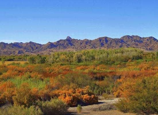 arizona/yuma-county/attraction/imperial-national-wildlife-refuge