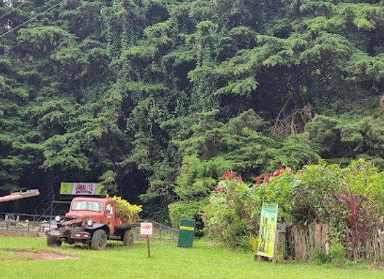 el-salvador/western-region/attraction/portezuelo-parque-de-aventuras