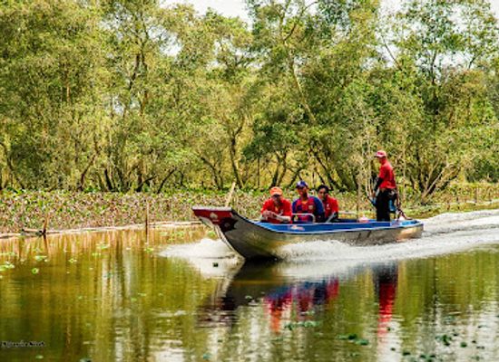 vietnam/mekong-delta/attraction/tra-su-cajuput-forest