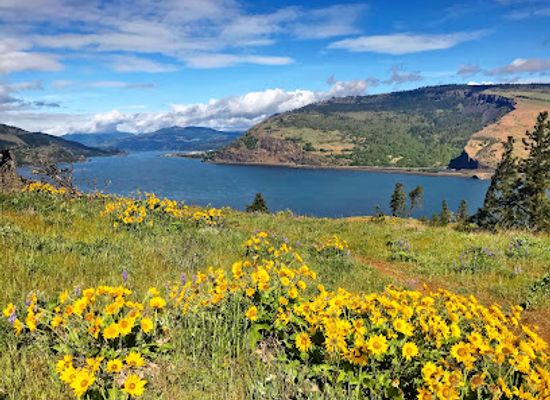 oregon/columbia-river-gorge/attraction/mosier-cape-viewpoint