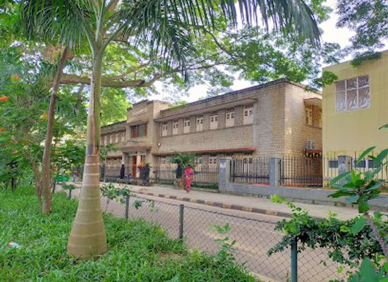 india/bengaluru/jayanagar/attraction/nimhans-brain-museum