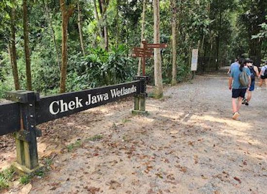 singapore/macritchie-reservoir/attraction/chek-jawa-wetlands