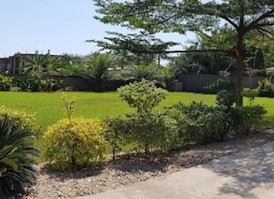 burundi/kibira-national-park/attraction/urugori-gardenia