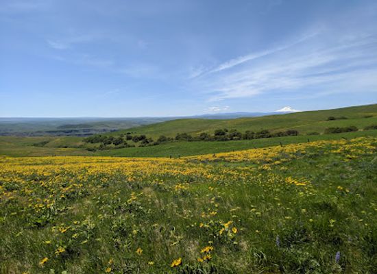 washington/eastern-washington/attraction/columbia-hills-historical-state-park