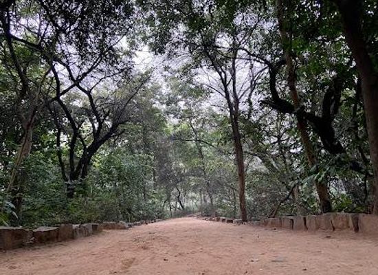 india/delhi/attraction/sanjay-van