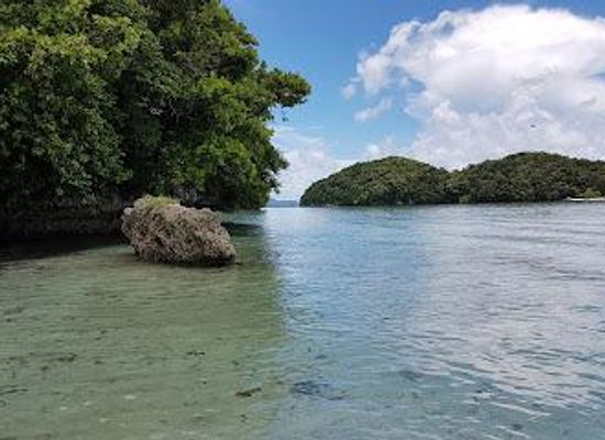 palau/airai/attraction/the-rock-islands
