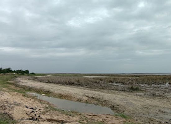 india/gujarat/attraction/nalsarovar-lake-view-point