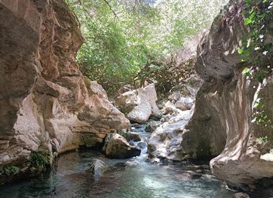 spain/ronda/attraction/sendero-la-garganta-verde-barranquismo