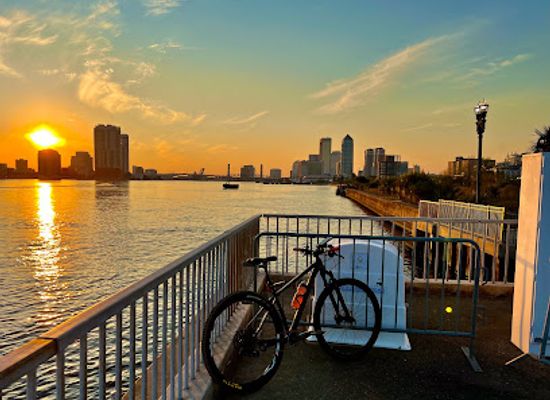 florida/jacksonville/downtown-jacksonville/attraction/metropolitan-park