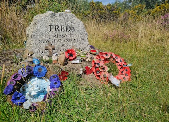 united-kingdom/staffordshire/landmark/freda-s-grave