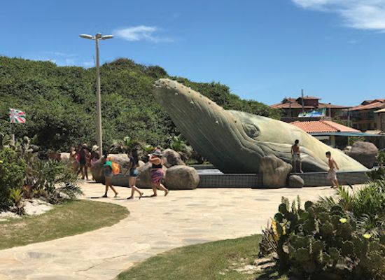 brazil/serra-do-mar/attraction/whale-square
