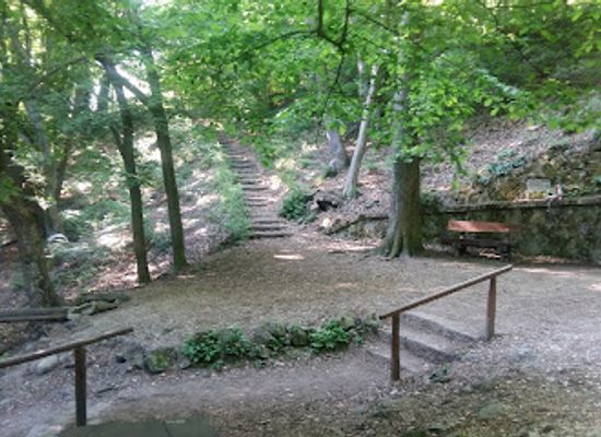 hungary/pilis-mountains/attraction/kaan-forras