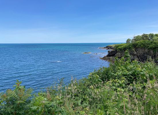 rhode-island/arcadia-management-area/attraction/rough-point