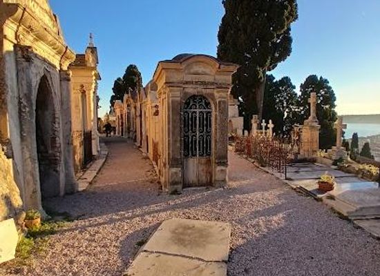 monaco/la-condamine/attraction/cimetiere-du-vieux-chateau