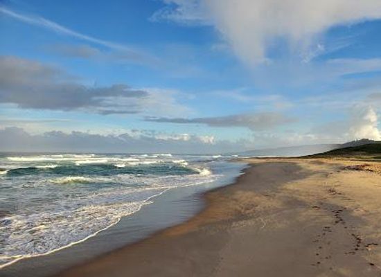 barbados/scotland-district/attraction/morgan-lewis-beach