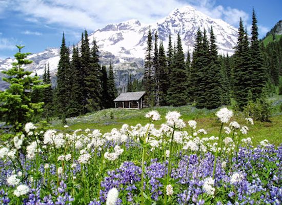 washington/mount-rainier-national-park/attraction/indian-henry-s-hunting-ground-via-longmire-trail