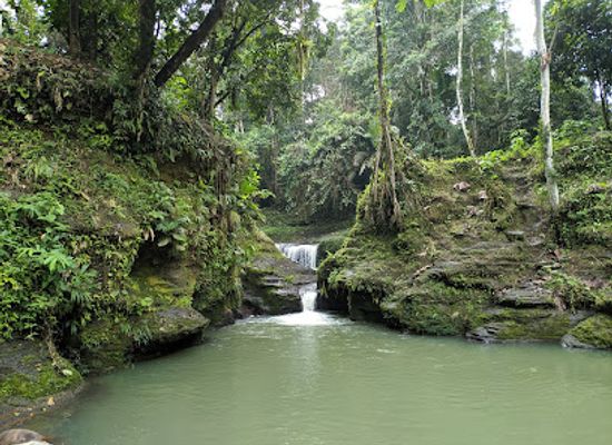 ecuador/tena/attraction/cascada-pimpillitu