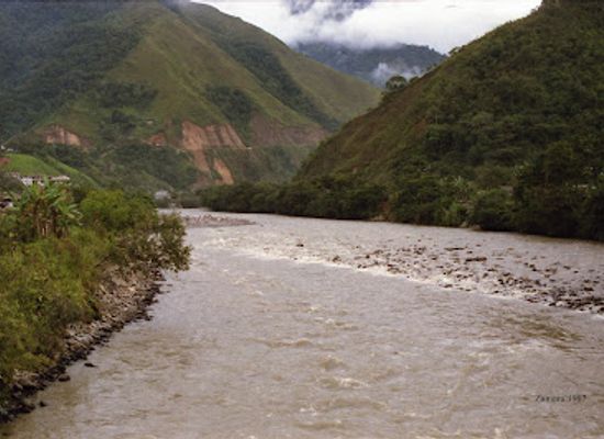 ecuador/zamora-chinchipe-region/attraction/refugio-ecologico-tzanka