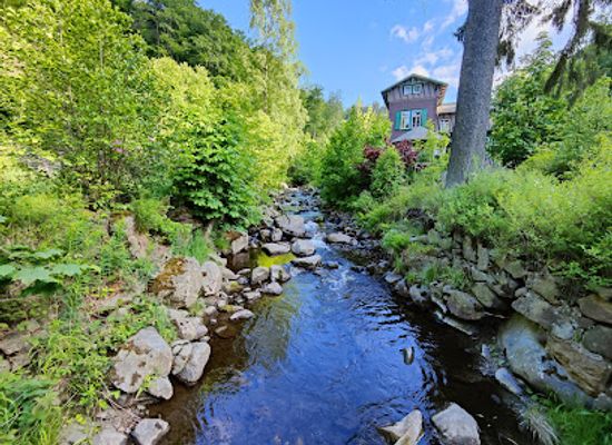 germany/harz-national-park/attraction/radau-wasserfall