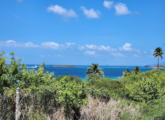 puerto-rico/culebra/attraction/playa-zoni