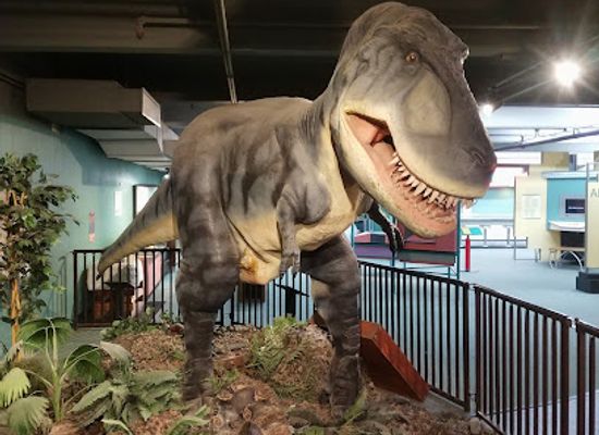 texas/south-plains/attraction/science-spectrum-omni-theater