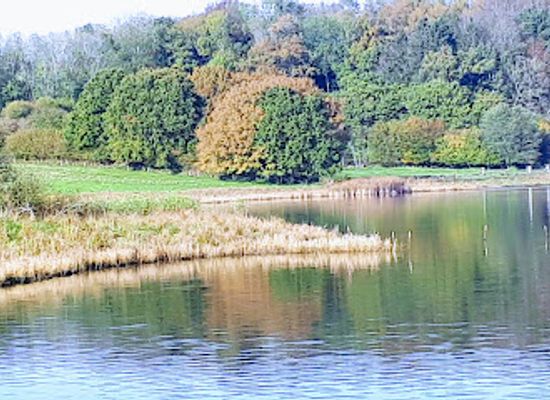 germany/schleswig/attraction/viking-museum-haithabu