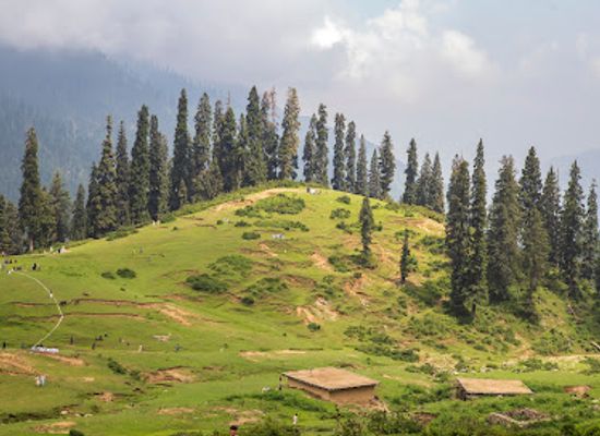 pakistan/swat-valley/attraction/jarogo-meadows