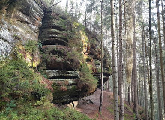 czechia/bohemian-paradise/attraction/brtnicky-castle