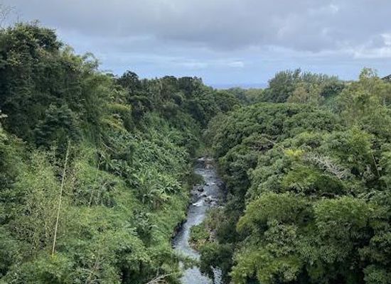 mauritius/bel-ombre/attraction/the-riviere-des-anguilles-bridge