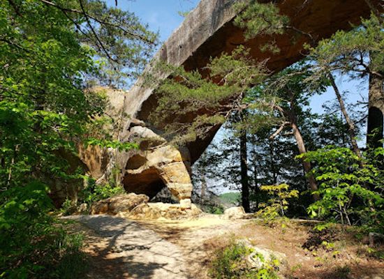 kentucky/sheltowee-trace-national-recreation-trail/attraction/daniel-boone-national-forest