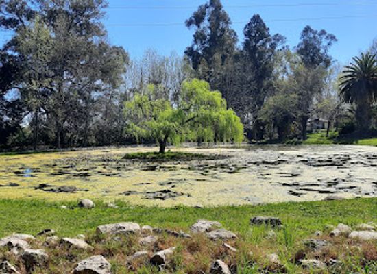 chile/colchagua-valley/attraction/parque-peralillo