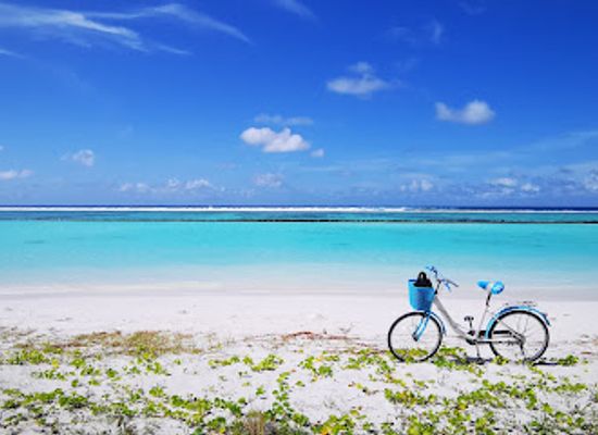 maldives/male-atoll/attraction/shark-point-thulusdhoo