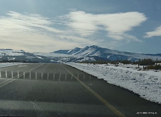 chile/biobio-region/attraction/reserva-nacional-alto-biobio